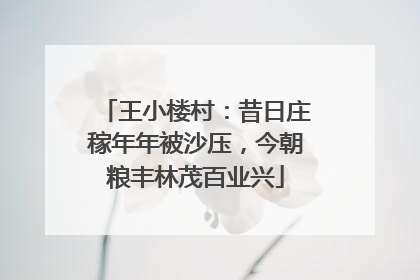 王小楼村：昔日庄稼年年被沙压，今朝粮丰林茂百业兴
