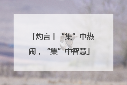 灼言丨“集”中热闹，“集”中智慧