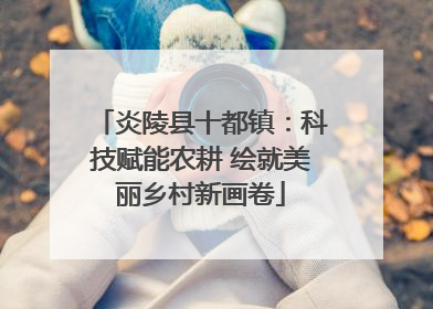 炎陵县十都镇：科技赋能农耕 绘就美丽乡村新画卷