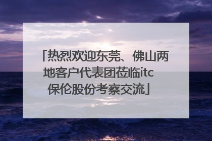 热烈欢迎东莞、佛山两地客户代表团莅临itc保伦股份考察交流