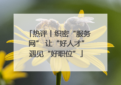 热评丨织密“服务网” 让“好人才”遇见“好职位”