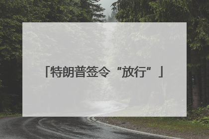 特朗普签令“放行”