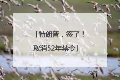 特朗普，签了！取消52年禁令