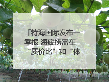 特海国际发布一季报 海底捞需在“质价比”和“体验感”中找到平衡｜新经济观察