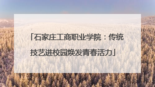 石家庄工商职业学院：传统技艺进校园焕发青春活力
