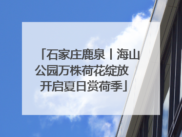 石家庄鹿泉丨海山公园万株荷花绽放 开启夏日赏荷季