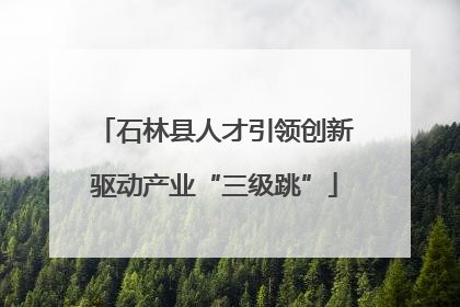 石林县人才引领创新驱动产业“三级跳”