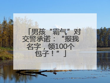 男孩“霸气”对交警承诺：“报我名字，领100个包子！”