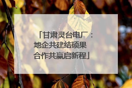 甘肃灵台电厂：地企共建结硕果 合作共赢启新程