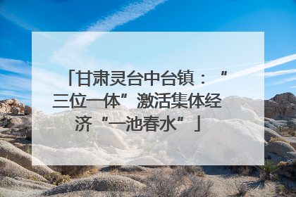 甘肃灵台中台镇：“三位一体”激活集体经济“一池春水”