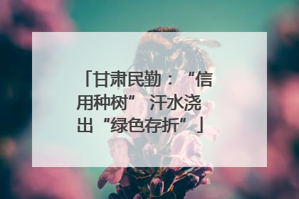 甘肃民勤：“信用种树” 汗水浇出“绿色存折”