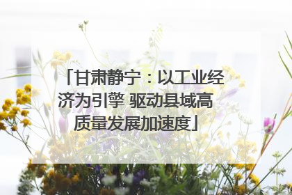 甘肃静宁：以工业经济为引擎 驱动县域高质量发展加速度