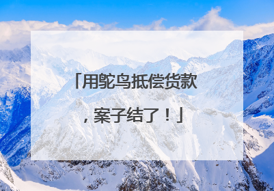 用鸵鸟抵偿货款，案子结了！