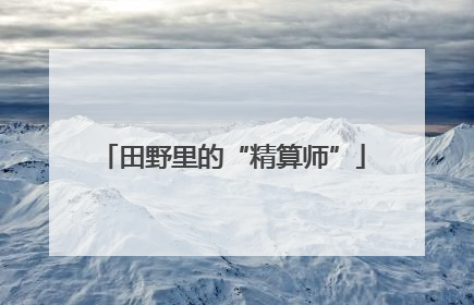 田野里的“精算师”