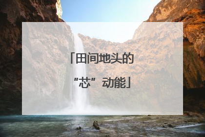 田间地头的“芯”动能