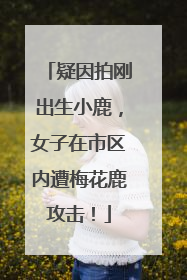 疑因拍刚出生小鹿，女子在市区内遭梅花鹿攻击！