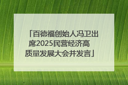 百德福创始人冯卫出席2025民营经济高质量发展大会并发言