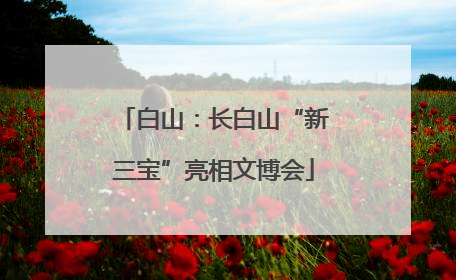 白山：长白山“新三宝”亮相文博会