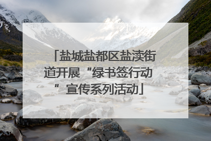 盐城盐都区盐渎街道开展“绿书签行动”宣传系列活动
