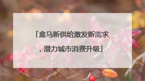 盒马新供给激发新需求，潜力城市消费升级