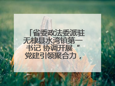 省委政法委派驻无棣县水湾镇第一书记 协调开展“党建引领聚合力，健康义诊惠乡亲”义诊活动
