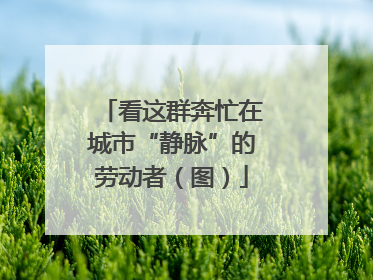 看这群奔忙在城市“静脉”的劳动者（图）