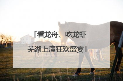 看龙舟、吃龙虾 芜湖上演狂欢盛宴