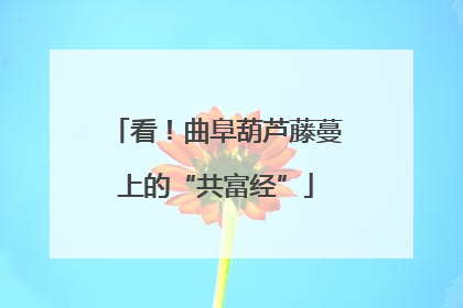 看！曲阜葫芦藤蔓上的“共富经”