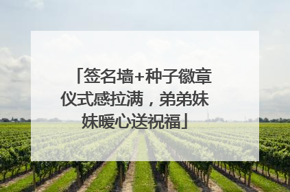 签名墙+种子徽章仪式感拉满，弟弟妹妹暖心送祝福