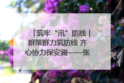 筑牢“汛”防线｜群策群力筑防线 齐心协力保安澜——张家界高新区上下众志成城迎战汛情