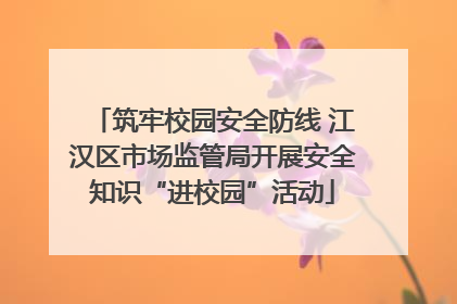 筑牢校园安全防线 江汉区市场监管局开展安全知识“进校园”活动