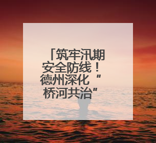 筑牢汛期安全防线！德州深化“桥河共治”整改隐患50余处