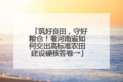 筑好良田，守好粮仓！看河南省如何交出高标准农田建设硬核答卷→