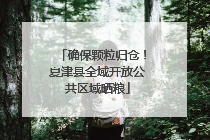 确保颗粒归仓！夏津县全域开放公共区域晒粮