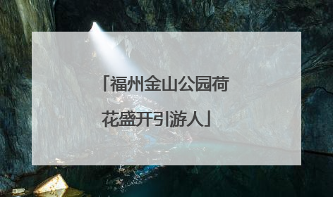 福州金山公园荷花盛开引游人