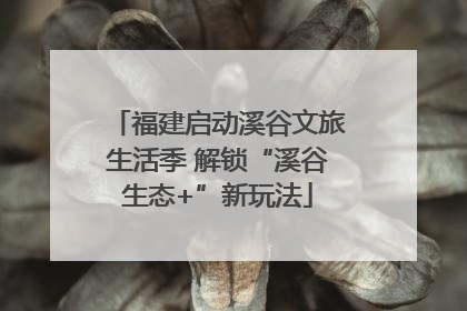福建启动溪谷文旅生活季 解锁“溪谷生态+”新玩法