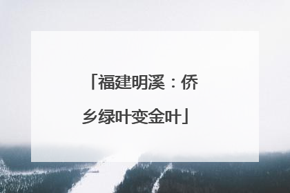 福建明溪：侨乡绿叶变金叶