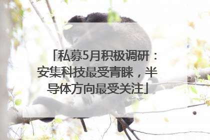 私募5月积极调研：安集科技最受青睐，半导体方向最受关注