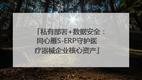 私有部署+数据安全：同心雁S-ERP守护医疗器械企业核心资产