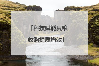 科技赋能夏粮收购提质增效
