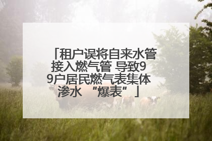 租户误将自来水管接入燃气管 导致99户居民燃气表集体渗水 “爆表”