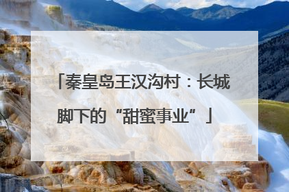 秦皇岛王汉沟村：长城脚下的“甜蜜事业”