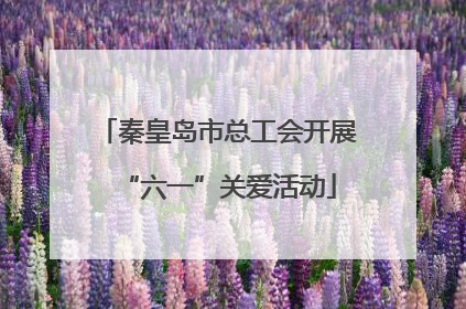 秦皇岛市总工会开展“六一”关爱活动