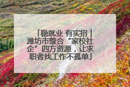稳就业 有实招丨潍坊市整合“家校社企”四方资源，让求职者找工作不孤单
