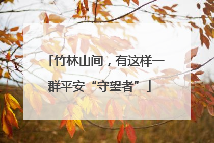 竹林山间，有这样一群平安“守望者”