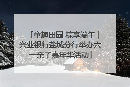 童趣田园 粽享端午｜兴业银行盐城分行举办六一亲子嘉年华活动