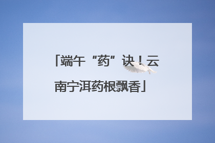 端午“药”诀！云南宁洱药根飘香