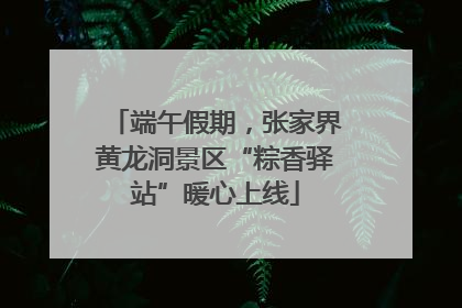 端午假期，张家界黄龙洞景区“粽香驿站”暖心上线