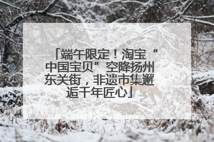 端午限定！淘宝“中国宝贝”空降扬州东关街，非遗市集邂逅千年匠心