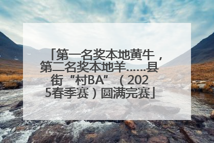第一名奖本地黄牛，第二名奖本地羊……县街“村BA”（2025春季赛）圆满完赛